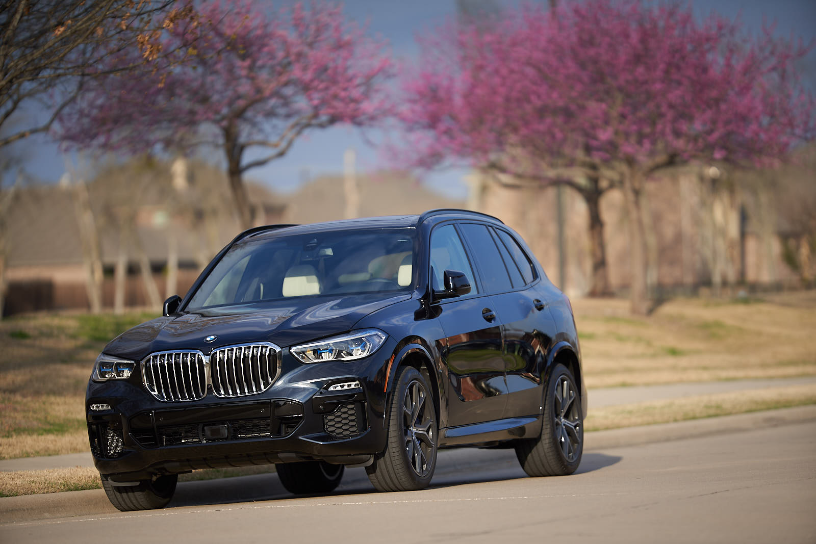Name:  2019_BMW_X5_xDrive_ 4.jpg
Views: 5999
Size:  190.6 KB