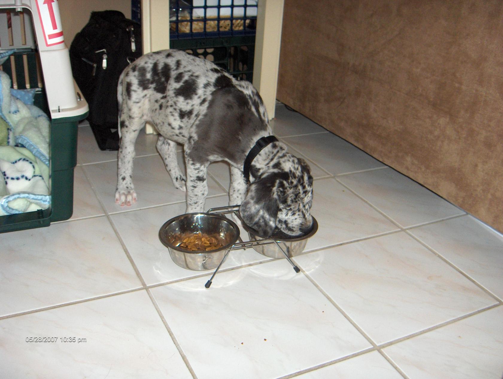 Name:  Camera 9_23-125.jpg
Views: 4130
Size:  202.1 KB