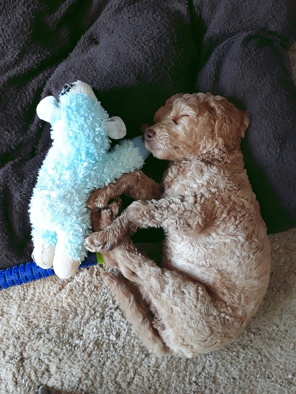 Name:  shiloh-8.jpg
Views: 3231
Size:  478.3 KB
