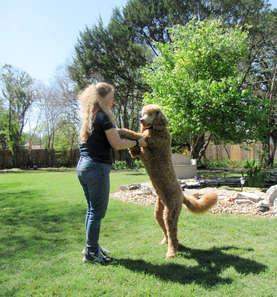 Name:  shiloh-37wks-1.jpg
Views: 2855
Size:  447.5 KB
