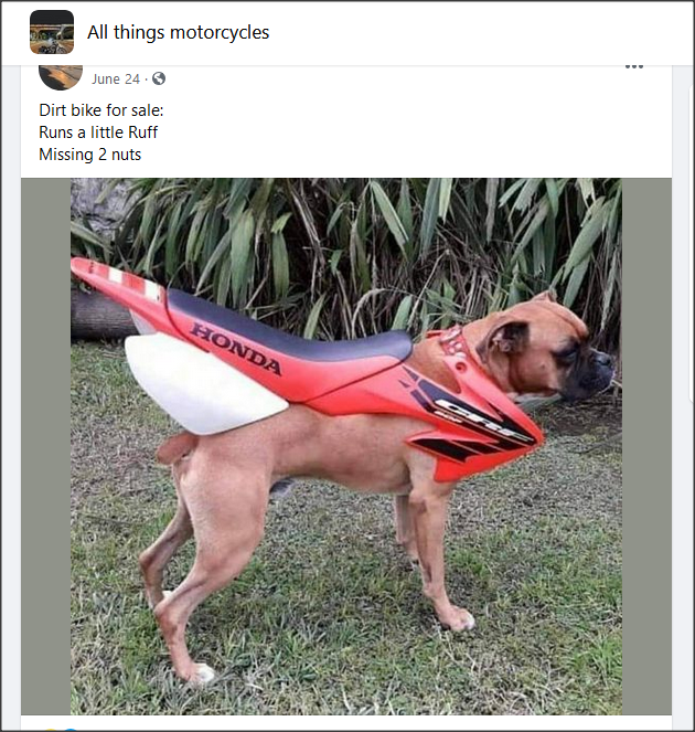 Name:  ruff-bike.png
Views: 4845
Size:  509.0 KB