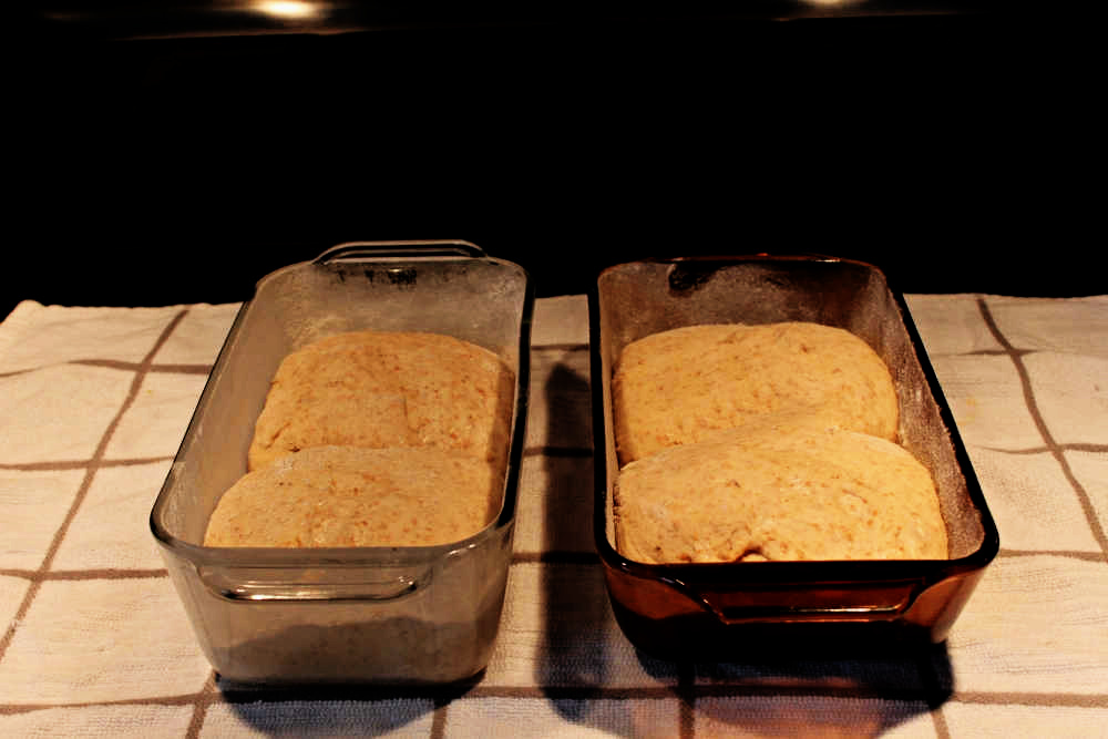 Name:  Bread 2.jpg
Views: 7940
Size:  139.6 KB