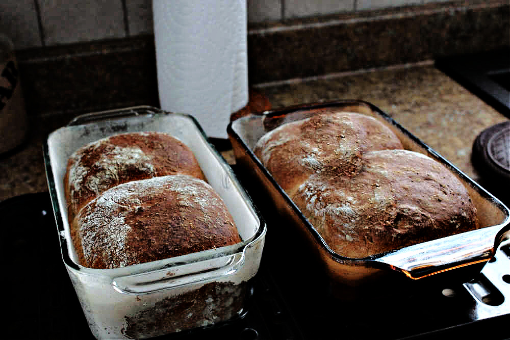 Name:  Bread 3.jpg
Views: 8168
Size:  252.3 KB