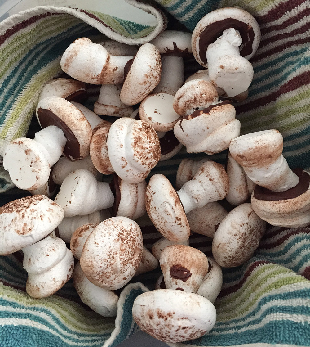 Name:  Mushrooms.JPG
Views: 12081
Size:  415.9 KB