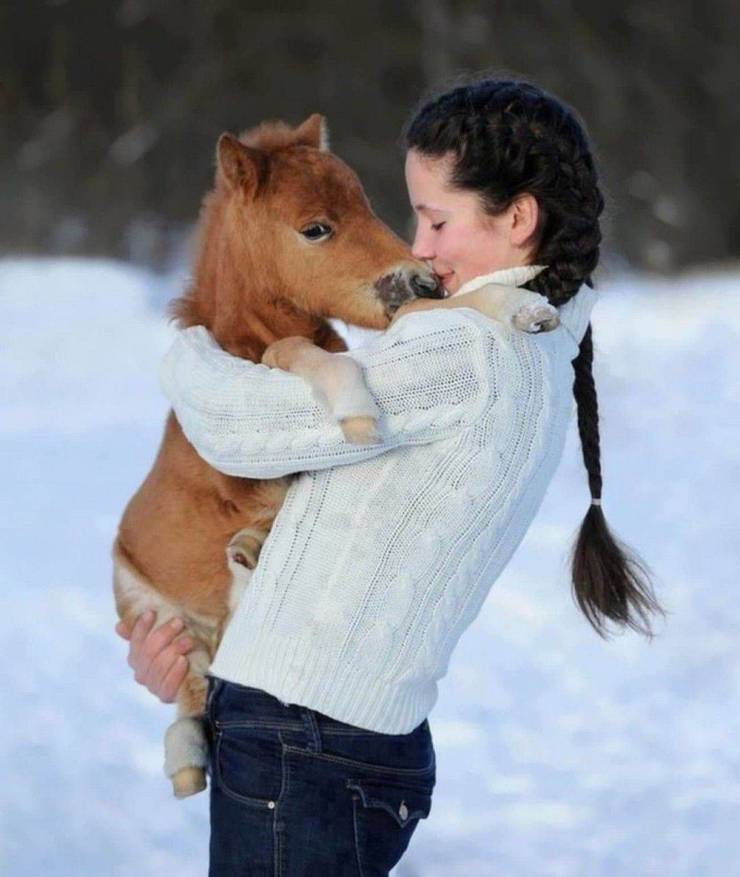 Name:  Horse..jpg
Views: 2433
Size:  52.8 KB