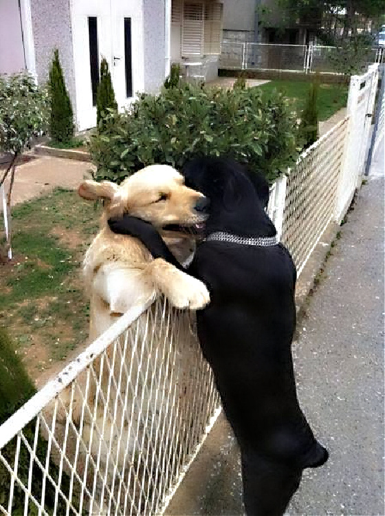 Name:  friends. (1).jpg
Views: 1864
Size:  242.2 KB