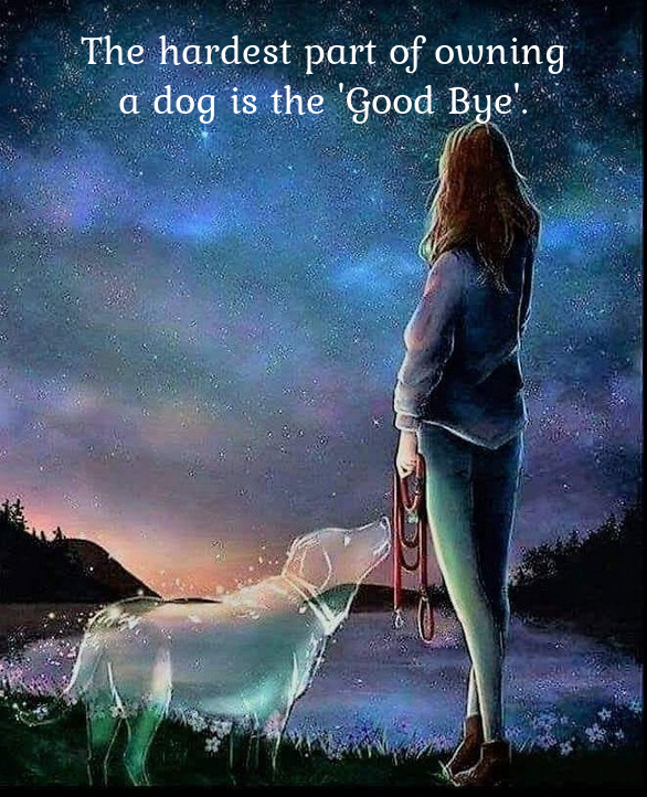 Name:  Good bye..jpg
Views: 2162
Size:  244.9 KB