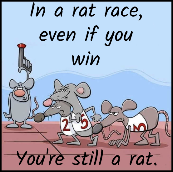 Name:  Rat Race (1).jpg
Views: 1733
Size:  121.8 KB
