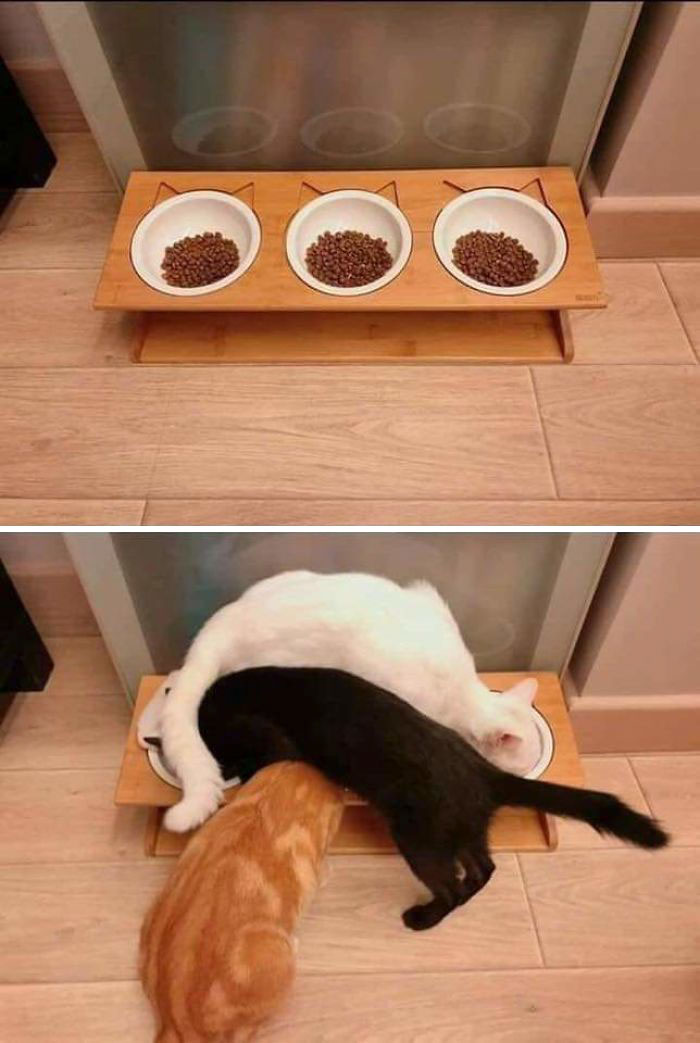 Name:  Bowls.jpg
Views: 2294
Size:  89.3 KB