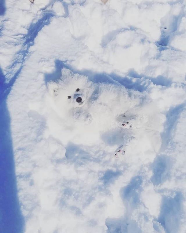 Name:  Snow.jpg
Views: 3281
Size:  47.0 KB
