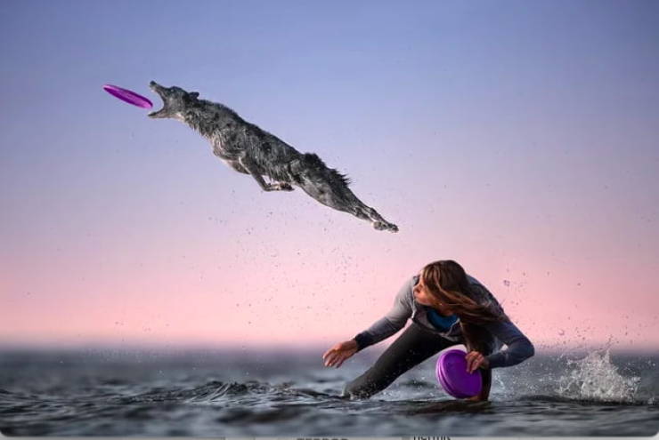 Name:  Frisbee.jpg
Views: 1998
Size:  26.8 KB