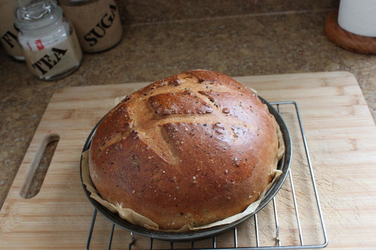Name:  Olive bread 3.JPG
Views: 7722
Size:  130.0 KB