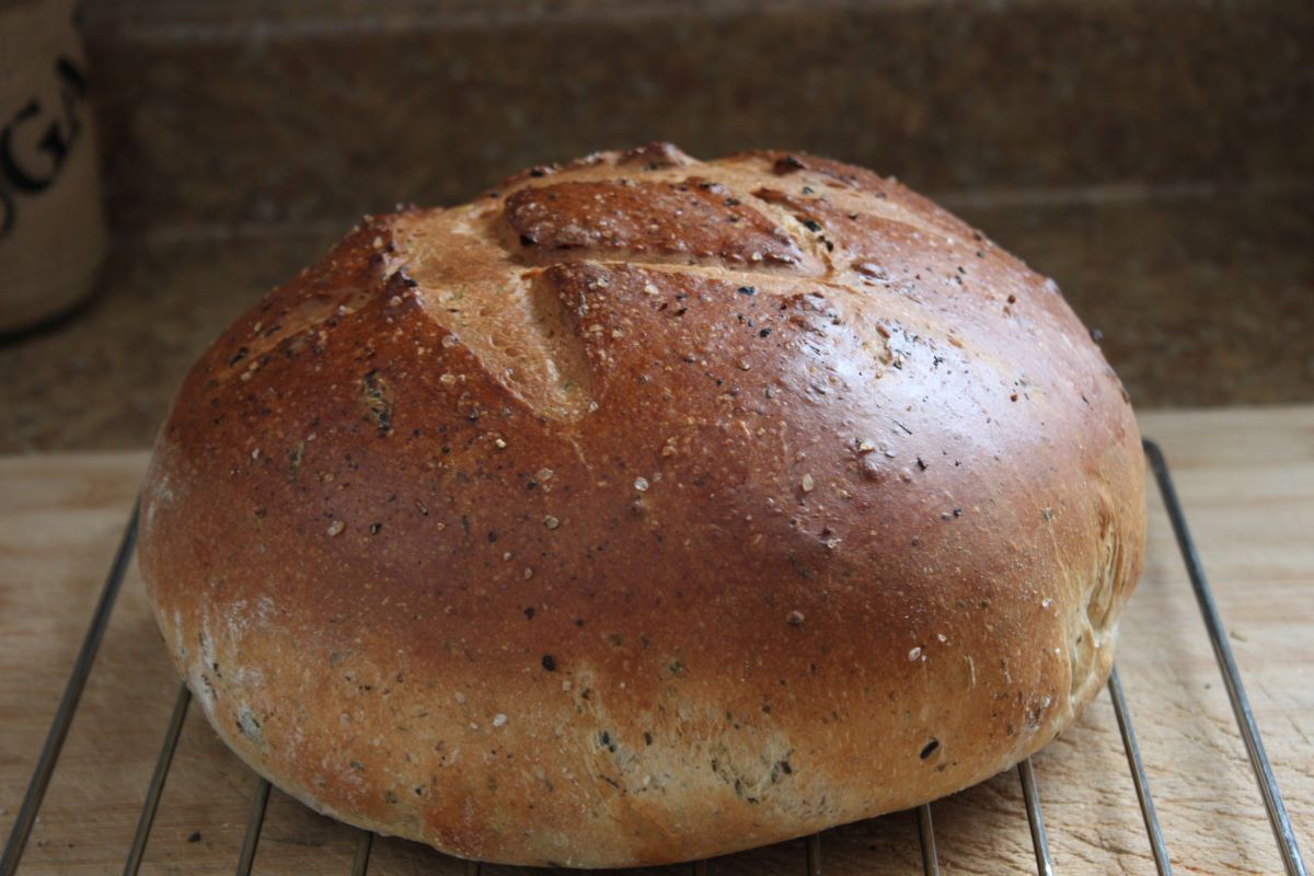 Name:  Olive bread 2.JPG
Views: 7680
Size:  118.8 KB
