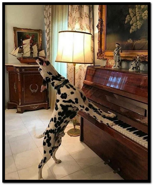 Name:  Piano.jpg
Views: 2519
Size:  96.3 KB