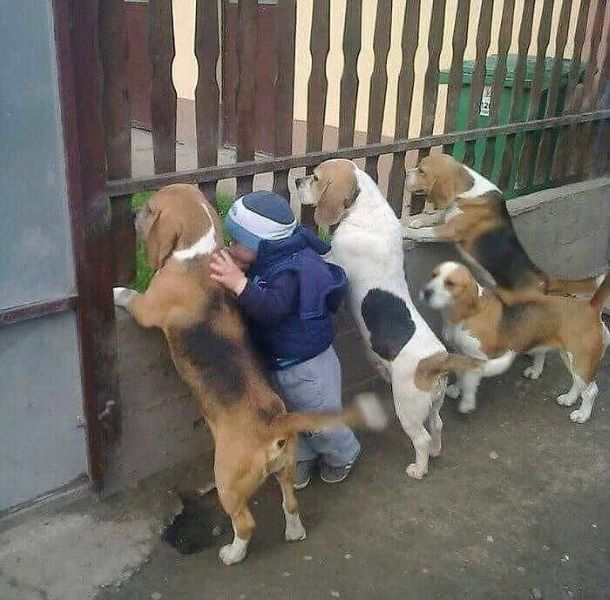 Name:  Curious.jpg
Views: 1898
Size:  66.1 KB