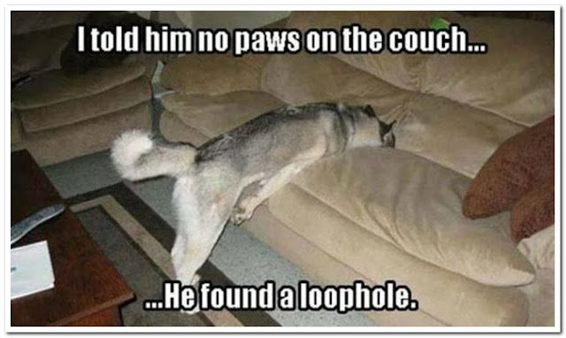 Name:  Loophole.jpg
Views: 1752
Size:  50.8 KB