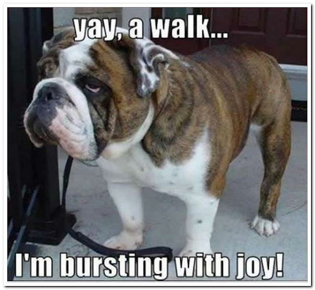 Name:  Walk.jpg
Views: 1868
Size:  70.5 KB