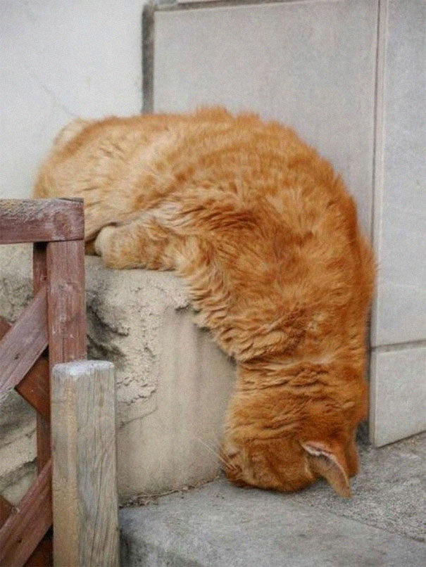 Name:  Sleep.jpg
Views: 3784
Size:  101.6 KB