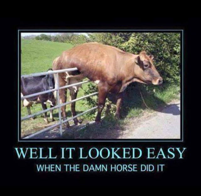 Name:  Cow.jpg
Views: 2035
Size:  81.8 KB