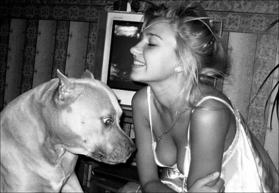 Name:  Dog..jpg
Views: 1229
Size:  100.2 KB