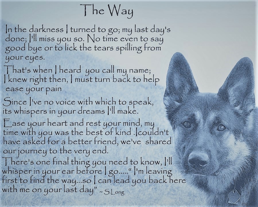 Name:  Poem..jpg
Views: 1695
Size:  265.9 KB