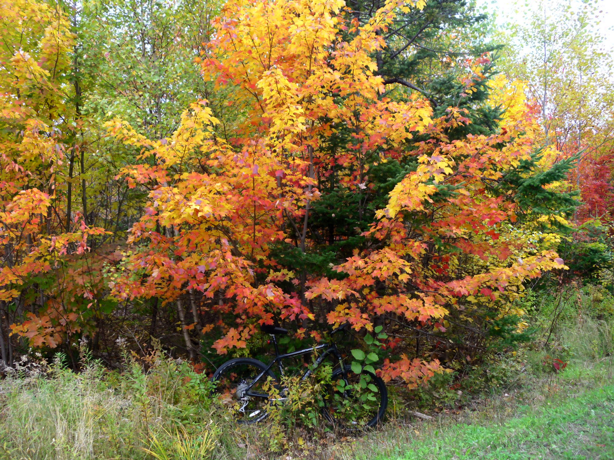 Name:  4 (1).jpg
Views: 3025
Size:  1.02 MB
