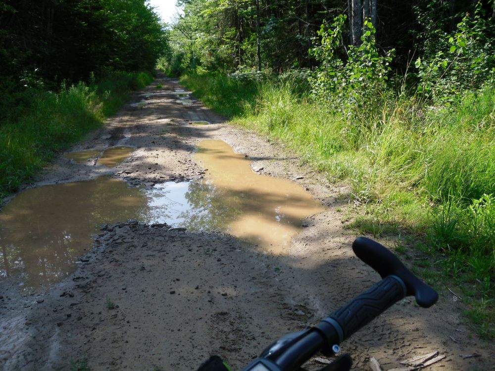Name:  Bike 1.JPG
Views: 2687
Size:  1.56 MB