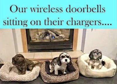 Name:  dog-doorbells.png
Views: 1510
Size:  206.9 KB