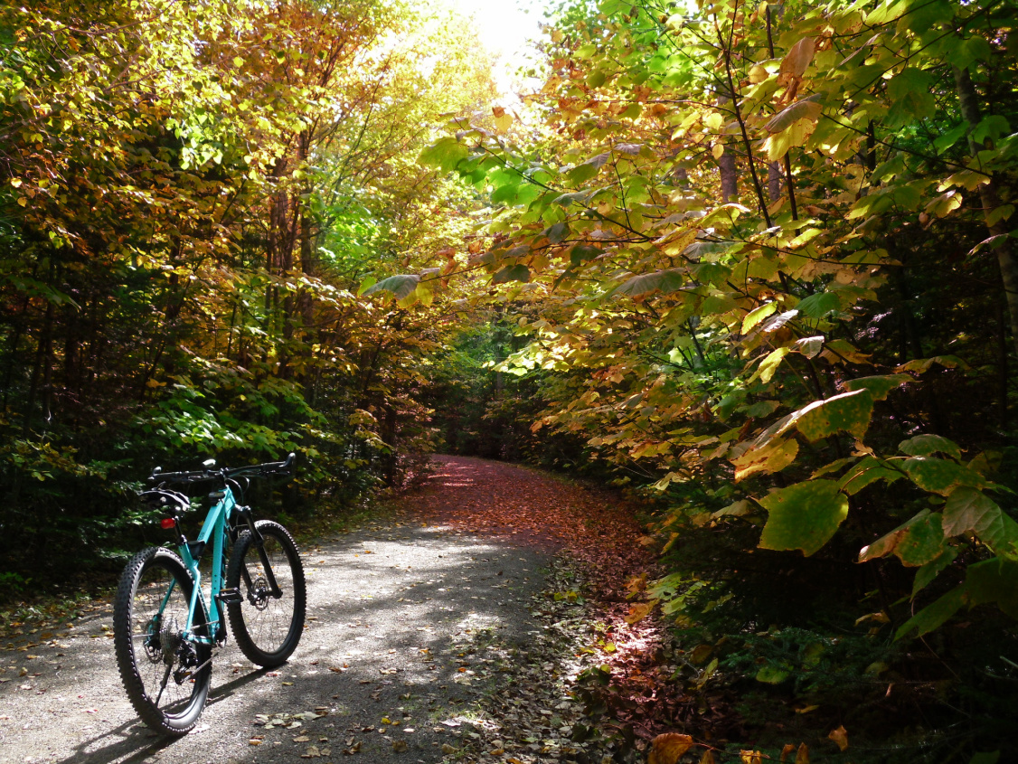 Name:  MTB (1).jpg
Views: 1694
Size:  789.6 KB