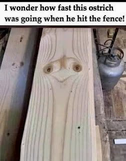 Name:  ostrich-fencepost.png
Views: 1126
Size:  123.4 KB