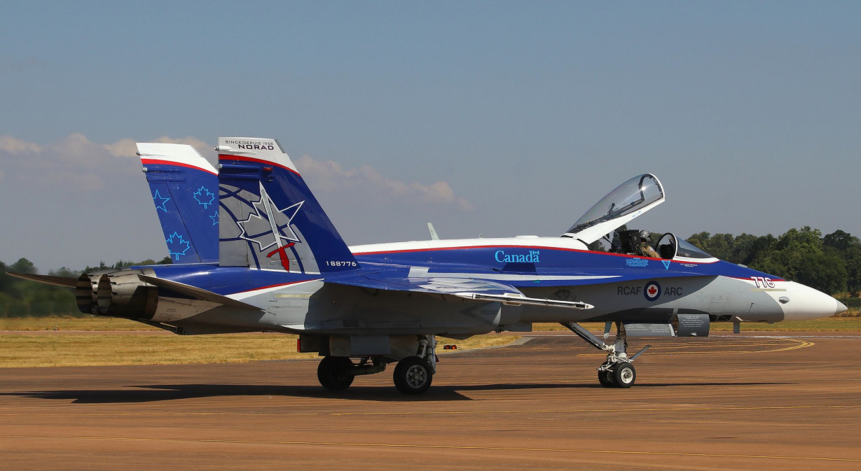Name:  Hornet. (1).jpg
Views: 21029
Size:  249.3 KB