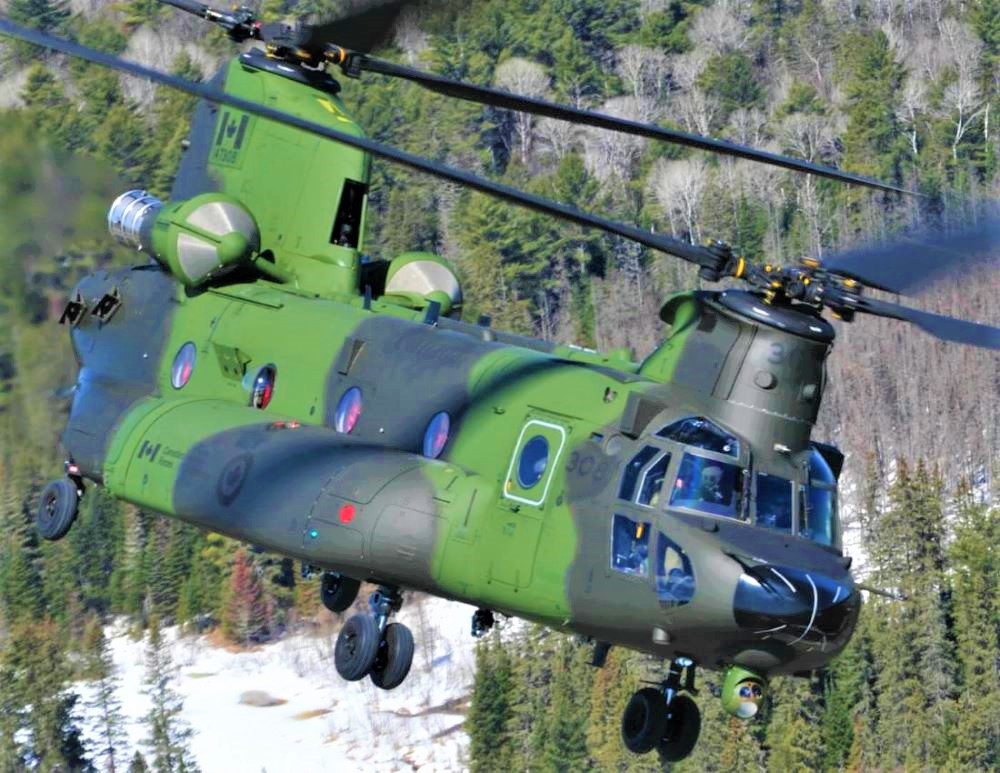 Name:  Chinook..jpg
Views: 9941
Size:  226.4 KB