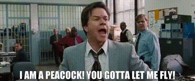 Name:  6b08ec3f-9293-4f97-bb1c-764fa523d327_text.gif
Views: 2066
Size:  887.7 KB