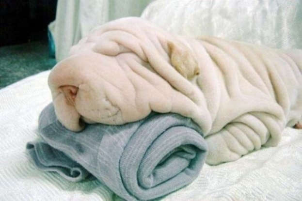 Name:  Towel.jpg
Views: 1058
Size:  27.0 KB