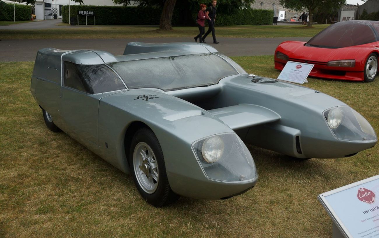 Name:  Silver Fox..jpg
Views: 3436
Size:  161.1 KB