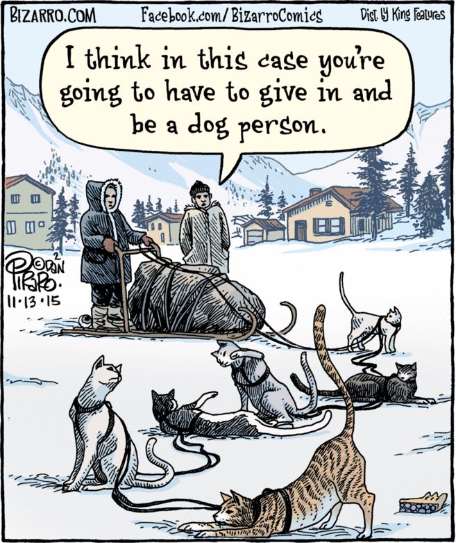 Name:  Cat_Sleigh.jpg
Views: 1091
Size:  131.0 KB