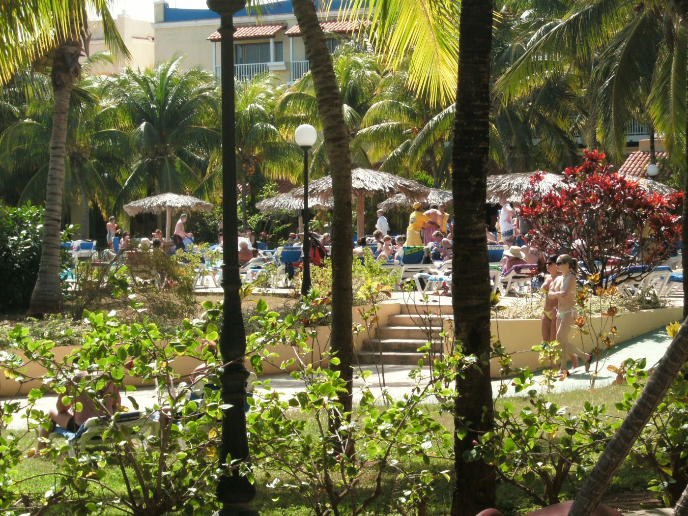 Name:  Vacation 2019.JPG
Views: 3741
Size:  391.2 KB