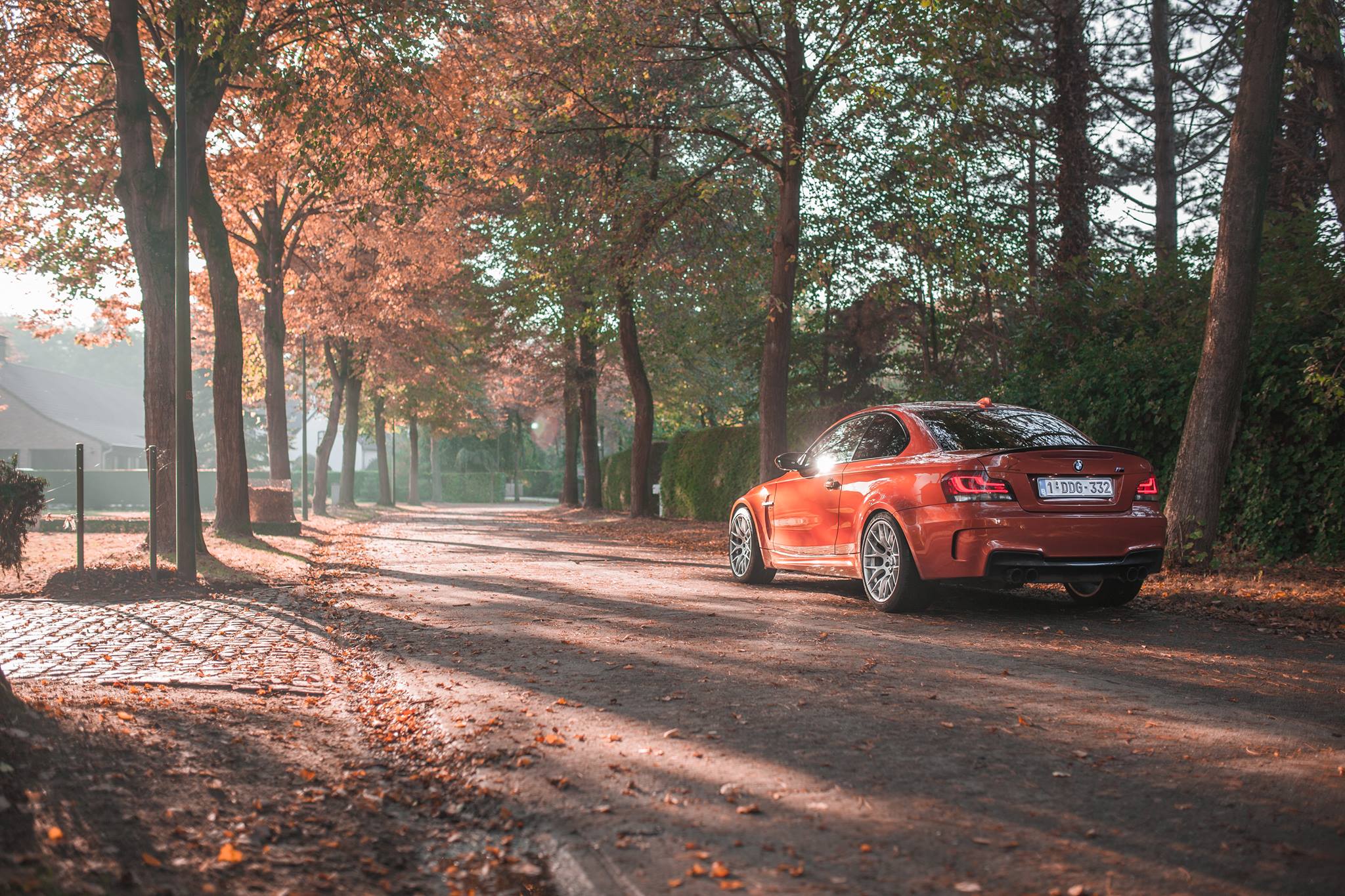 Name:  1M_Autumn.jpg
Views: 1564
Size:  511.1 KB