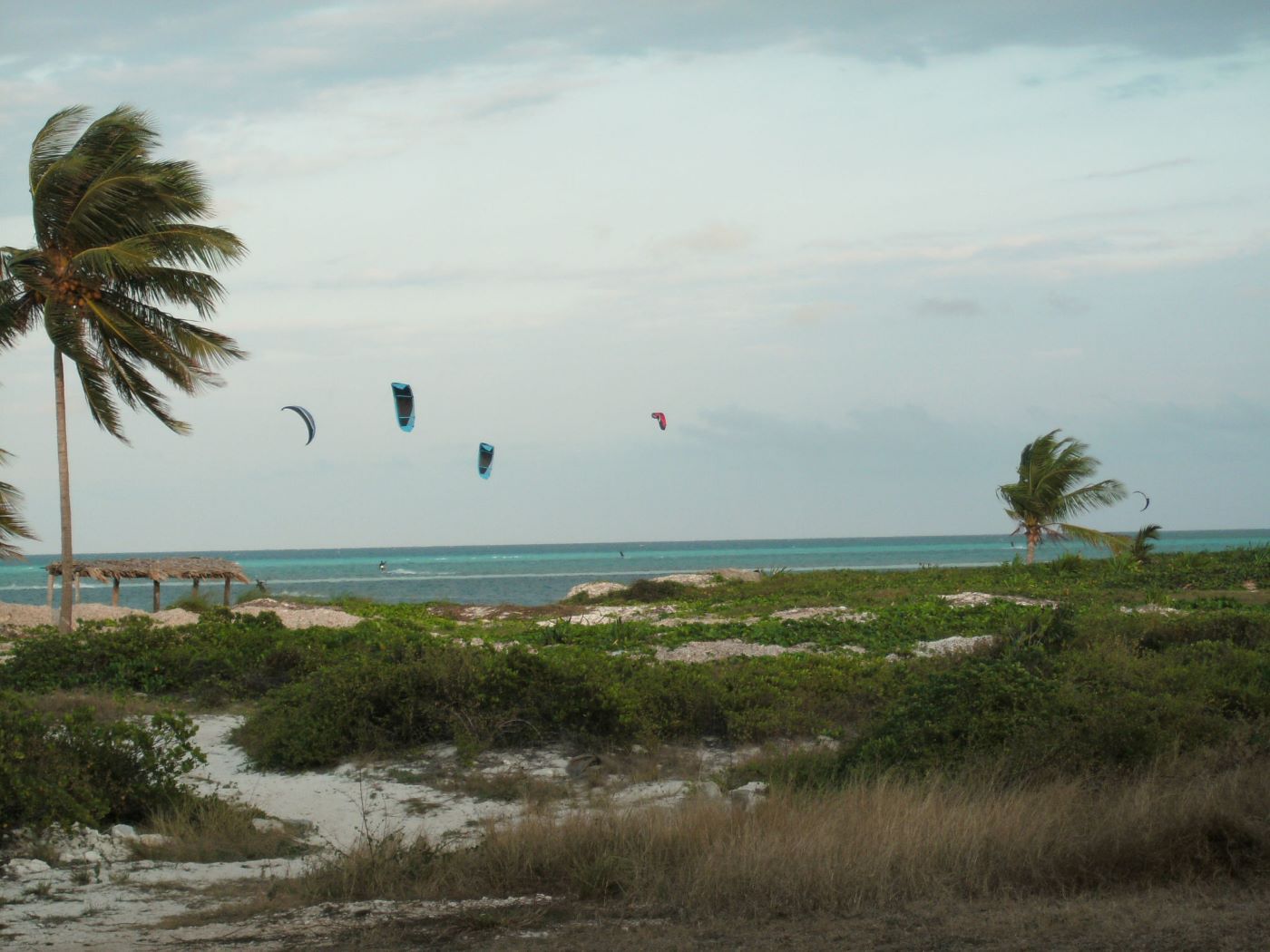 Name:  Kite Surfing.JPG
Views: 4201
Size:  161.8 KB