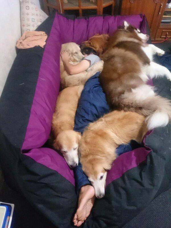 Name:  Blanket.jpg
Views: 1003
Size:  60.4 KB