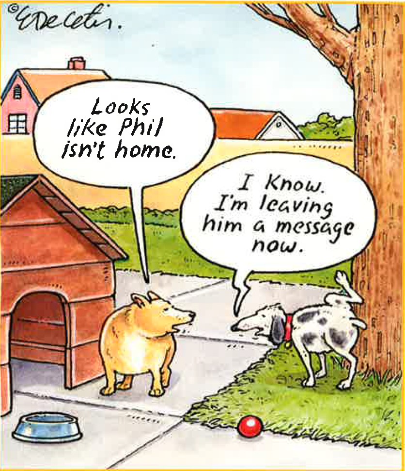 Name:  phil.jpg
Views: 1696
Size:  227.0 KB