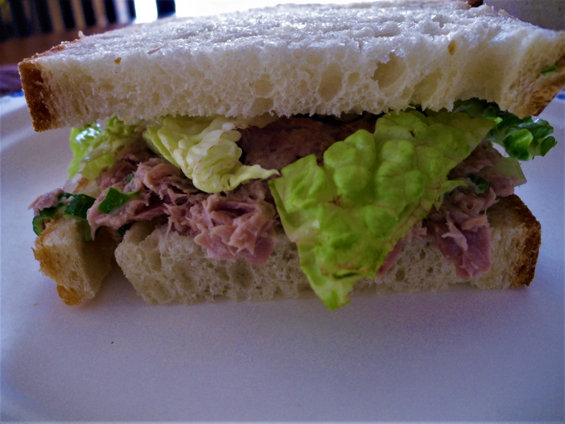 Name:  Tuna..JPG
Views: 962
Size:  609.5 KB