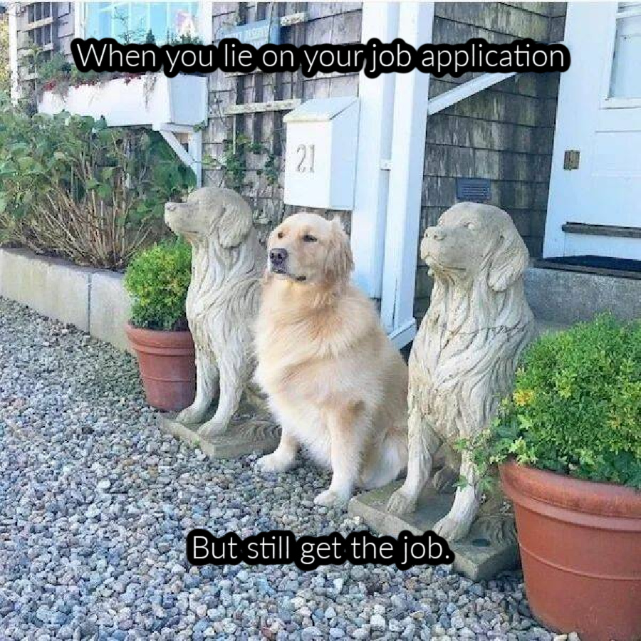 Name:  Dog..jpg
Views: 3897
Size:  470.0 KB
