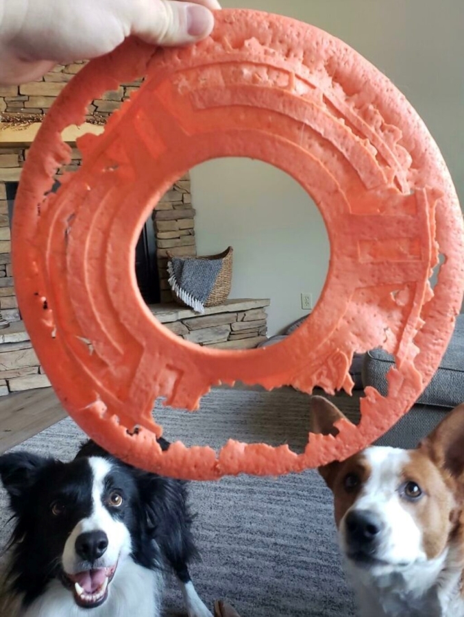 Name:  Frisbee..jpg
Views: 3406
Size:  366.5 KB