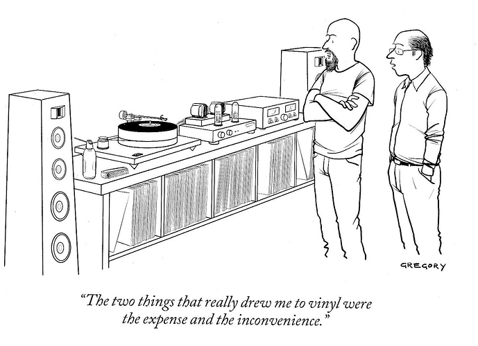 Name:  Vinyl..jpeg
Views: 8647
Size:  109.4 KB