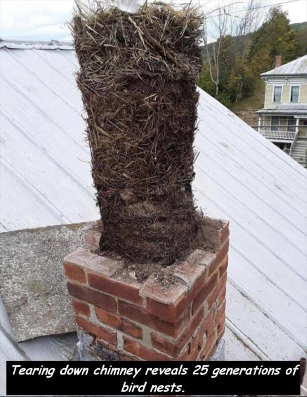 Name:  Chimney..jpg
Views: 1861
Size:  338.1 KB