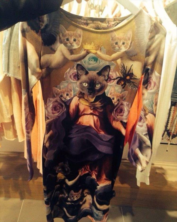 Name:  Cat..jpg
Views: 3270
Size:  97.3 KB
