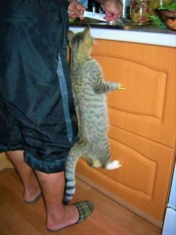 Name:  Sup..jpg
Views: 3078
Size:  263.4 KB