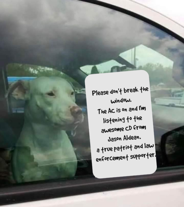 Name:  break-window.jpg
Views: 1208
Size:  100.6 KB
