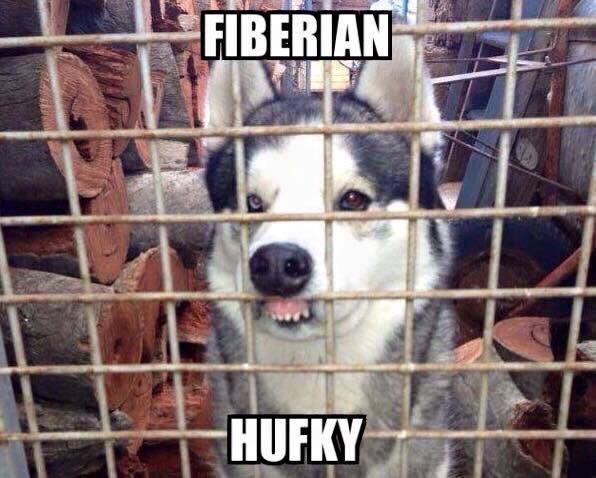 Name:  Husky.jpg
Views: 989
Size:  51.9 KB